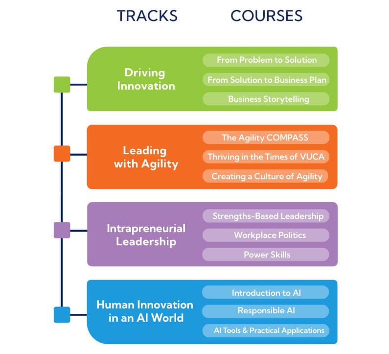 Tracks and Courses